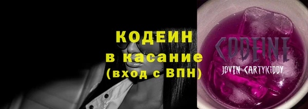 крисы Верхний Тагил