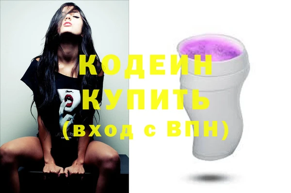 крисы Верхний Тагил