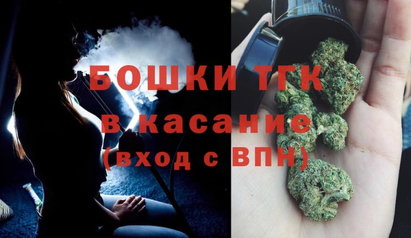 крисы Верхний Тагил
