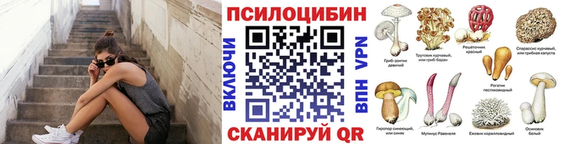 цена   Коряжма  Галлюциногенные грибы GOLDEN TEACHER 